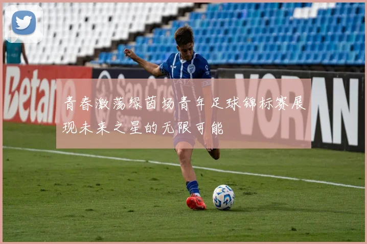 青春激荡绿茵场青年足球锦标赛展现未来之星的无限可能