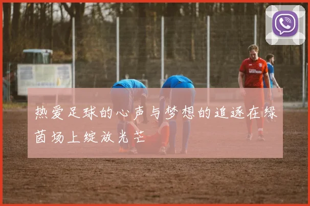 热爱足球的心声与梦想的追逐在绿茵场上绽放光芒