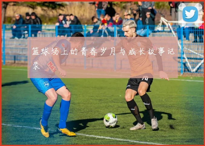 篮球场上的青春岁月与成长故事记录