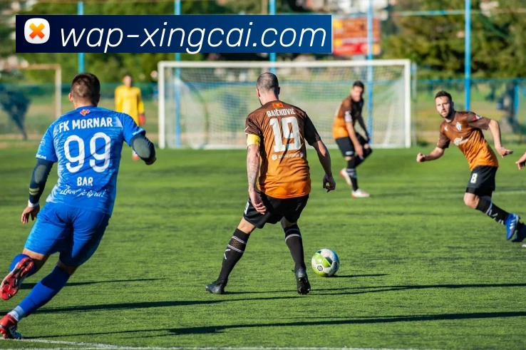 XC SPORTS官方平台生态图